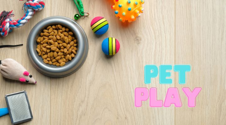 Understanding Pet Play