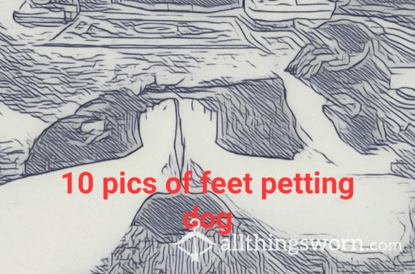 10 Feet Pictures Of Petting Dog