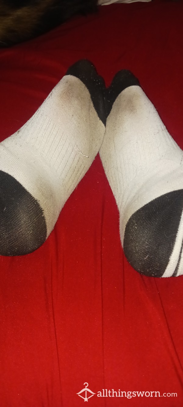 $10 Well Worn Socks