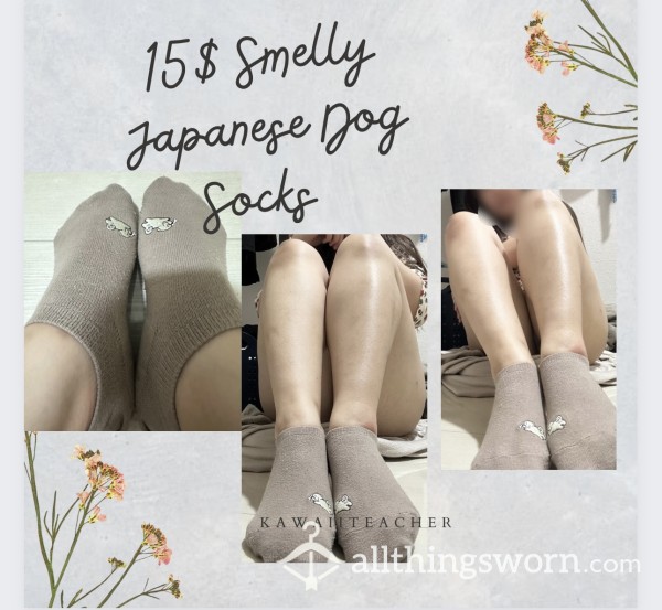 🤩SOLD🤩15$ Japanese Smelly Dog Socks | Cute And Smelly