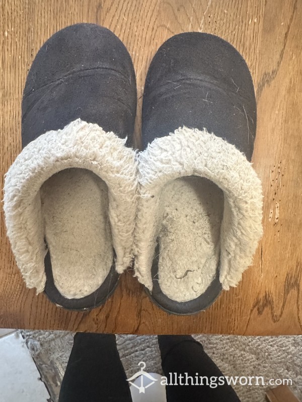 2 Year Old Well Worn Slippers Comes With 7 Day Wear