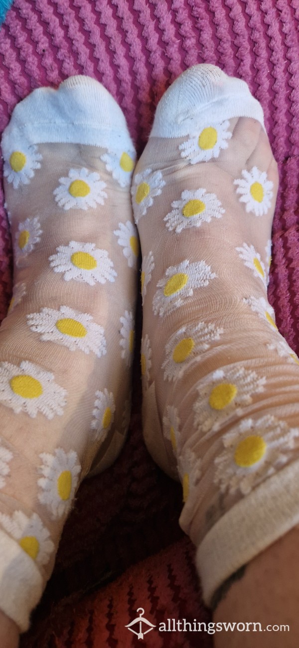 10 Pictures Of See Through Daisy Socks. All Angles