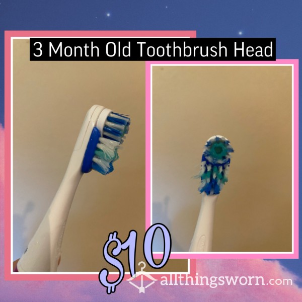 3 Month Old Used Toothbrush Head