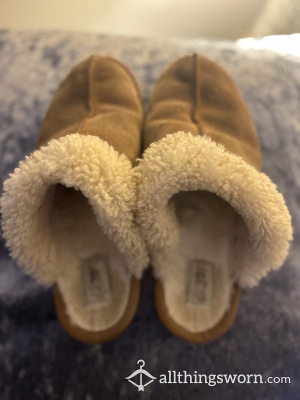 4 Year Old Worn Ugg Smelly Slippers