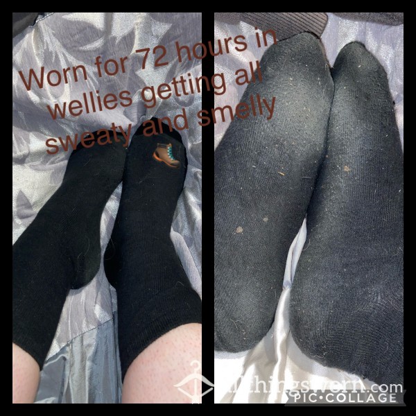 72 Hour Smelly Socks