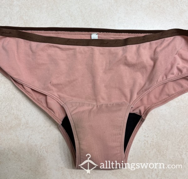 Absorbent Panties