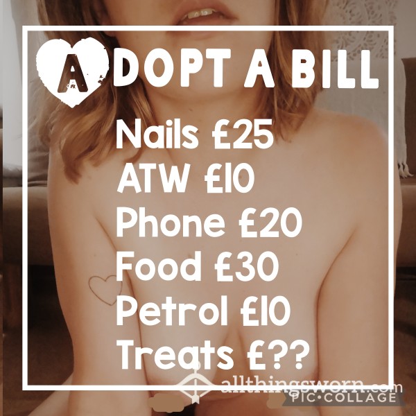Adopt A Bill (cheap Version)