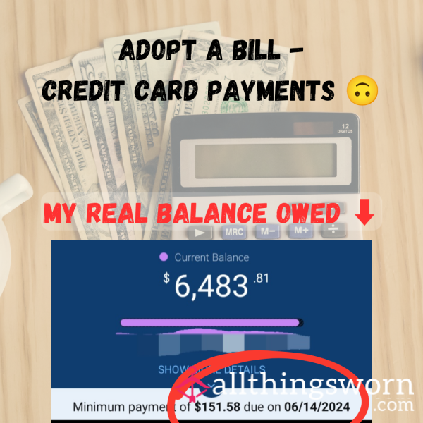 Adopt A Bill! Credit Card Payment / Reimburse A Bill