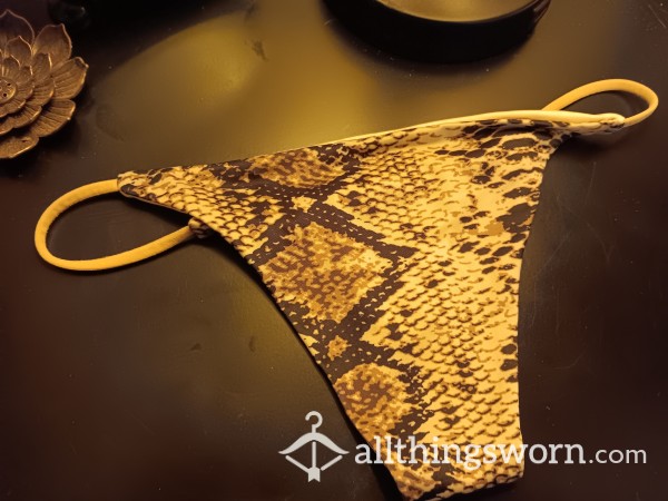 ANIMAL PRINT SCENTED CUMMY THONG PANTIES (READY TO SHIP!) WORN BY TRANSGIRL DANI TEMPEST