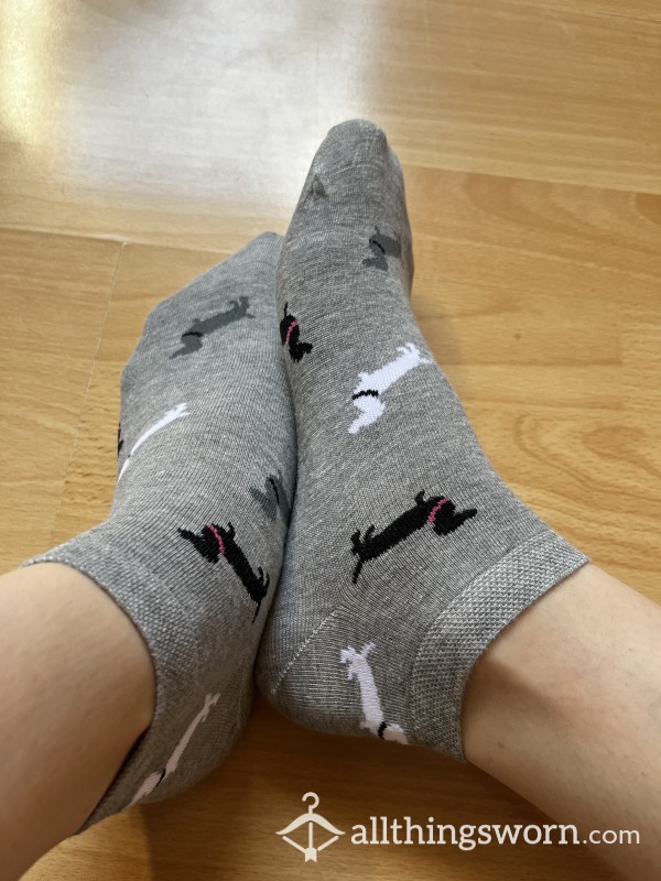 Ankle Socks With Dachshunds In 3 Different Colors- 48h Wear