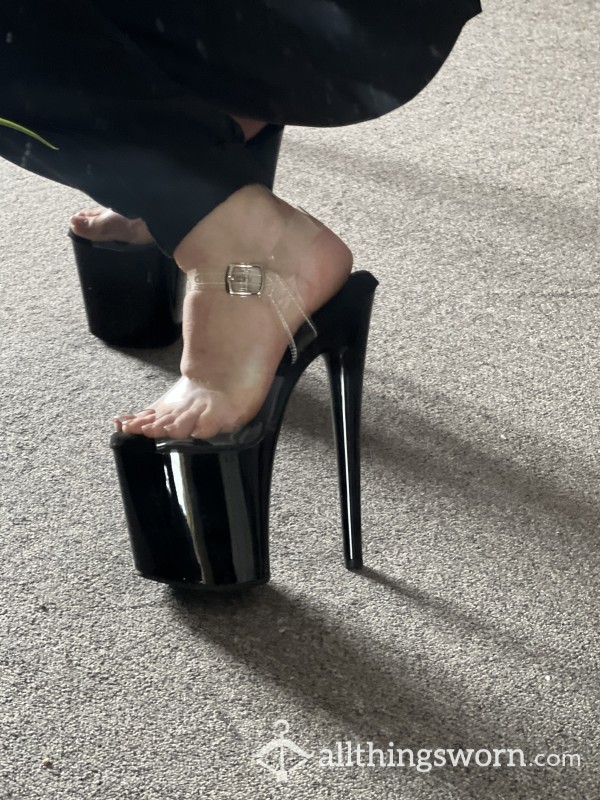 Any Subs On Here Wanna Get Stepped On?