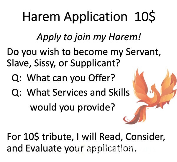 Apply To Join My Harem ;)