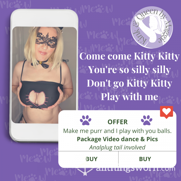 Are You A Kitty Lover?