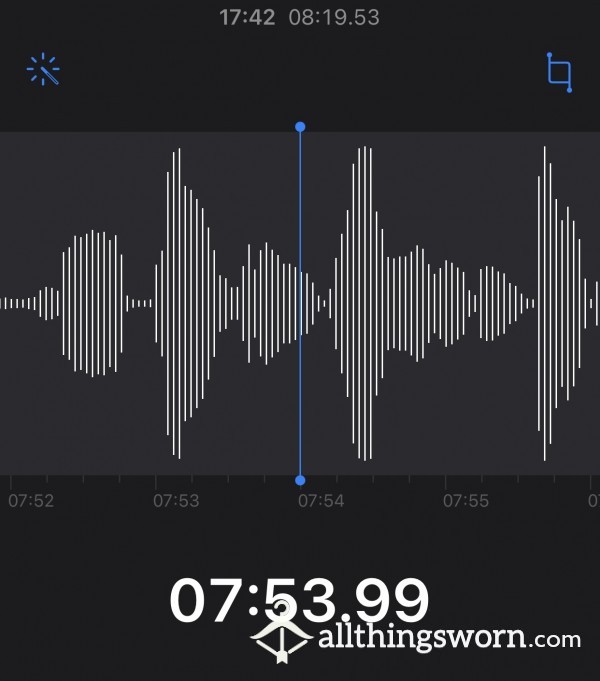 Audio File -Slow Down, I Don't Want To Cum Yet!