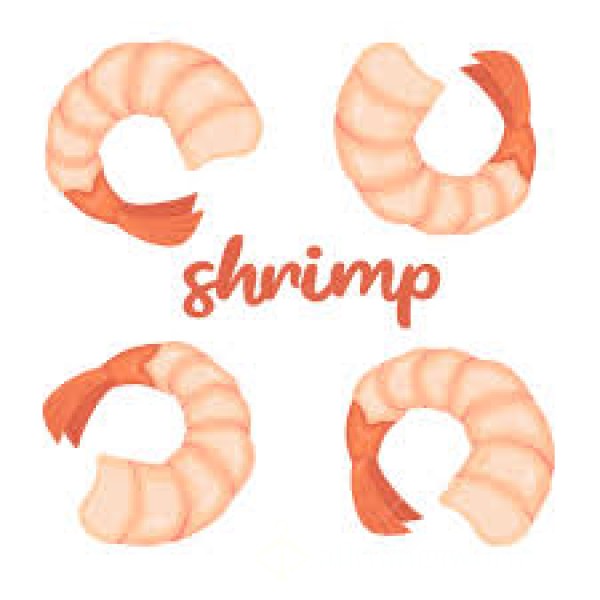 Baby Shrimp Dick Humiliation
