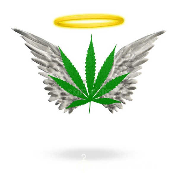 Be My 420 Angel 😇