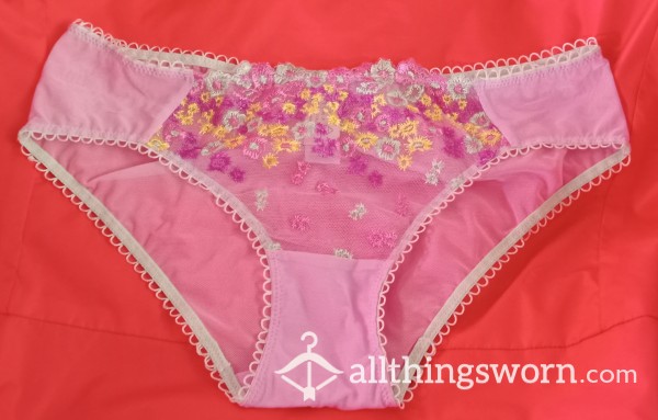 Beautiful Embroidered Lilac Sheer-mesh Panty By Sophia Intimates, Size Small