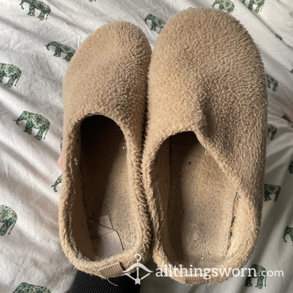Well Worn Closed Toe Smelly Slippers