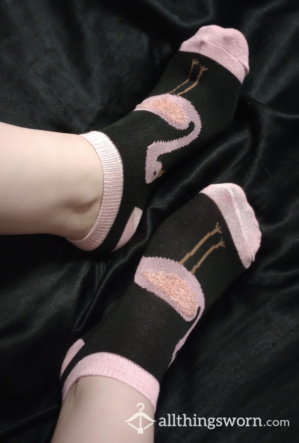 Black Flamingo Socks