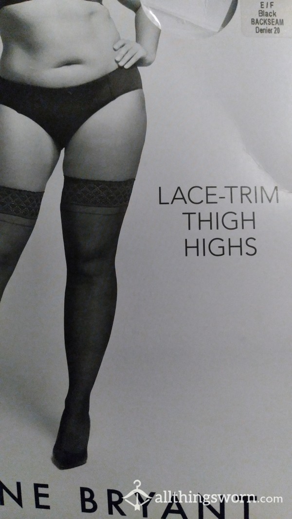 Black Lane Bryant Ace Trim Thigh Highs