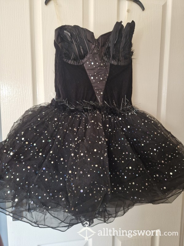 Black Swan Fancy Dress