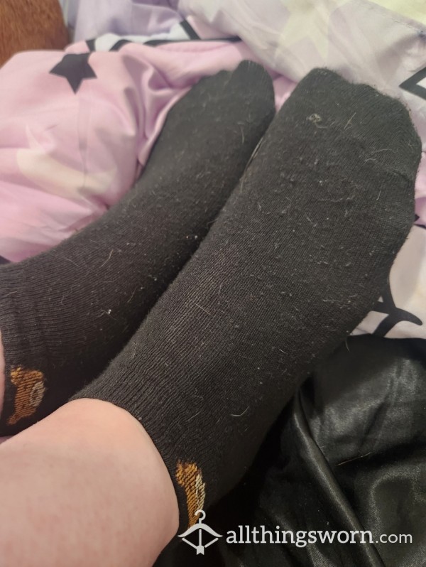 Black Teddy Bear Socks