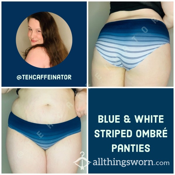 Blue And White Striped Ombre Panties Auden XL Nylon