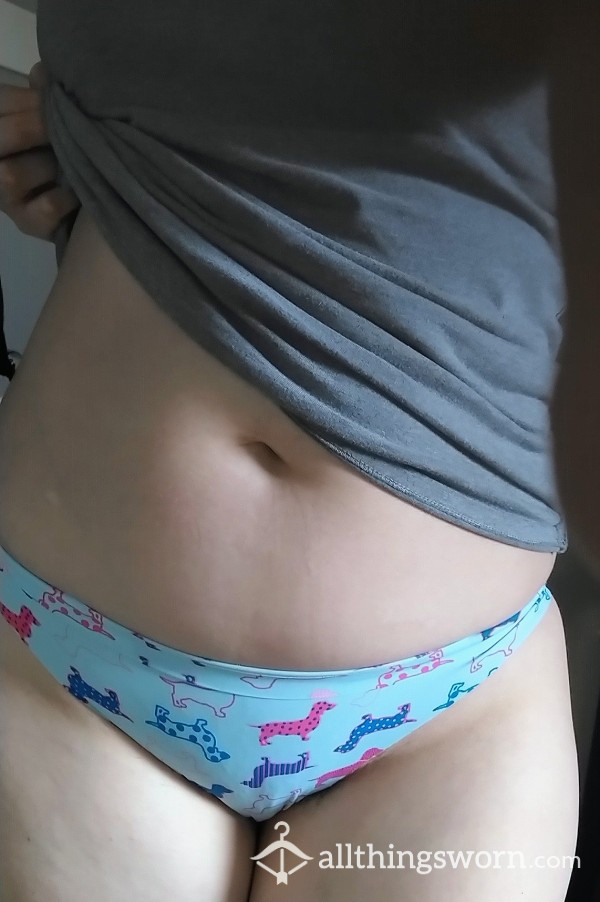 Blue Silky Cheeky Panties With Dogs