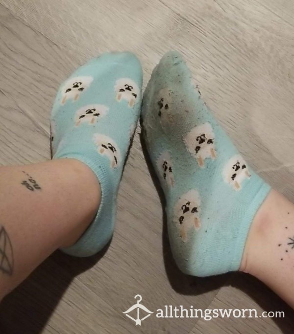Blue Cotton Lama Socks