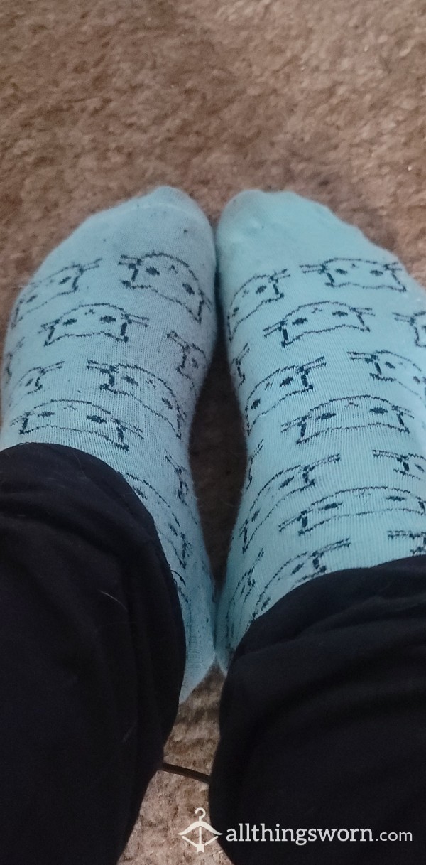 Blue Kitty Cat Socks