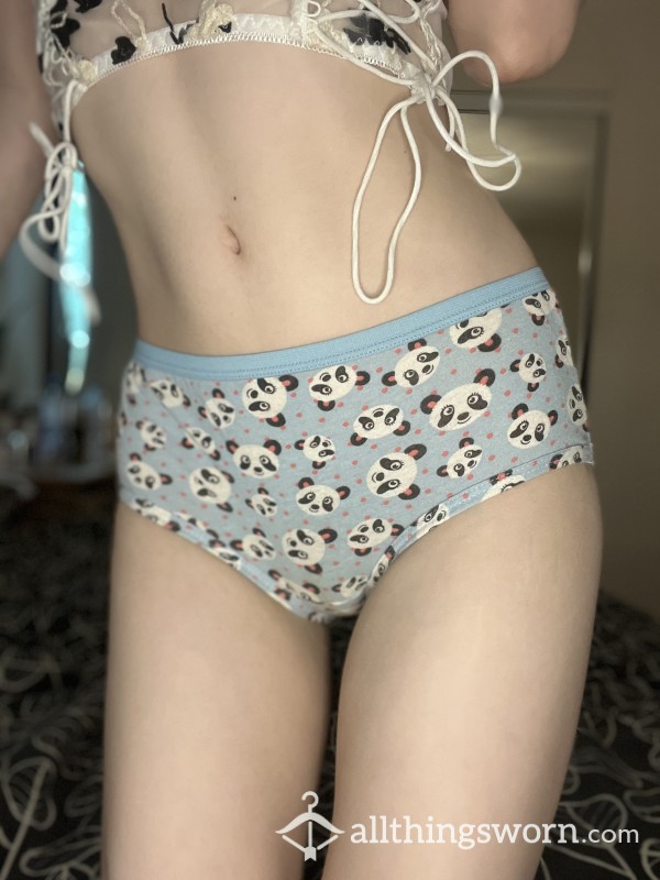 Blue Panda Panty Used Or New | Free Polaroid Pic | Add On’s Available