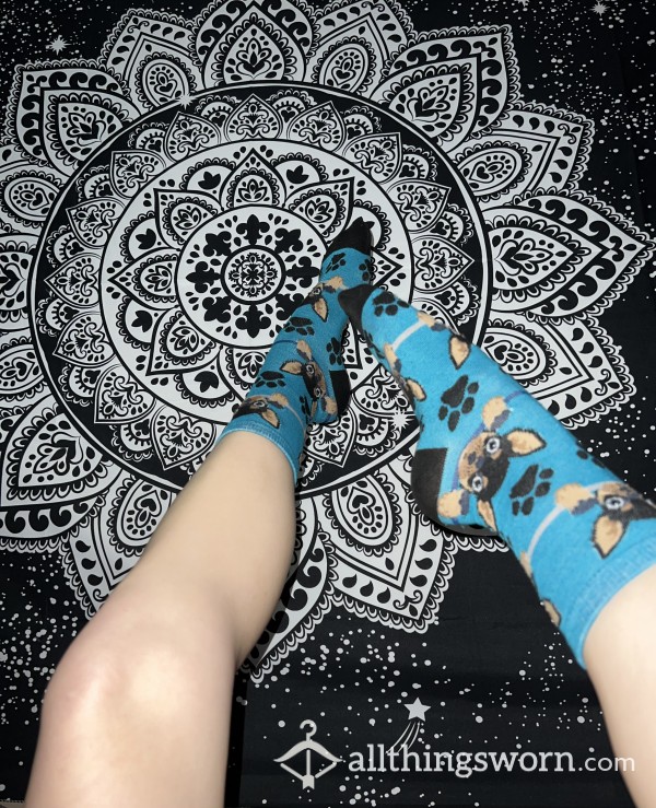 Blue Puppy Paw Print Socks