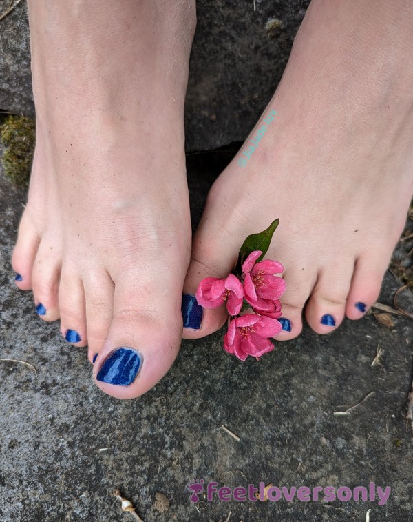 Blue Toenail Polish And Pink Flowers In The Great Outdoors