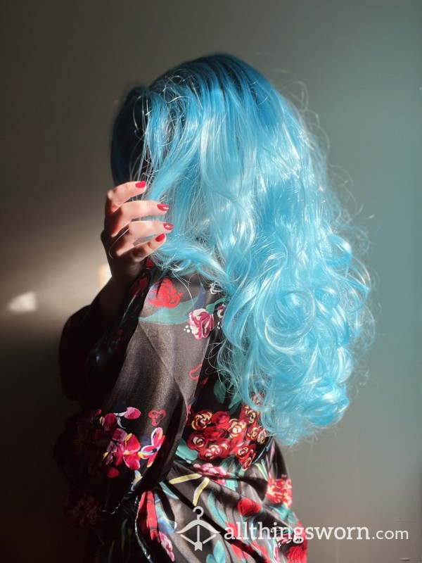 ✨🦋 Blue Wig 🦋✨