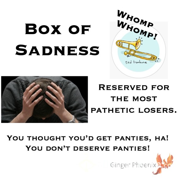 Box Of Sadness!   Sadness, Shame, And Disappointment.  You Deserve Nothing More.