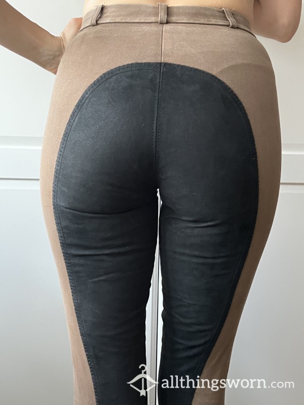 Brown And Black Riding Breeches