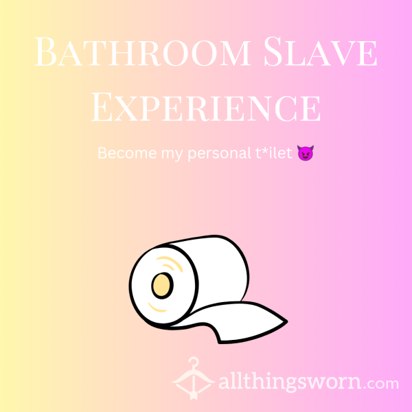 Bthroom Slave Experience