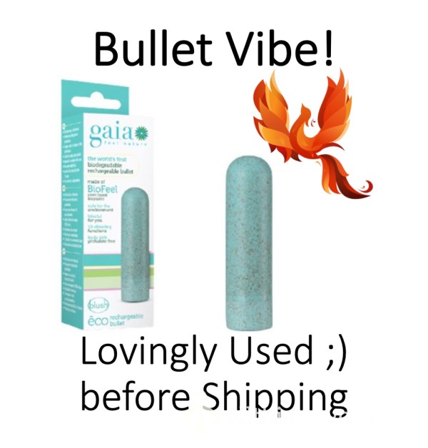 Bullet Vibrator!  ;) Lovingly Used Just Before Shipping ;)