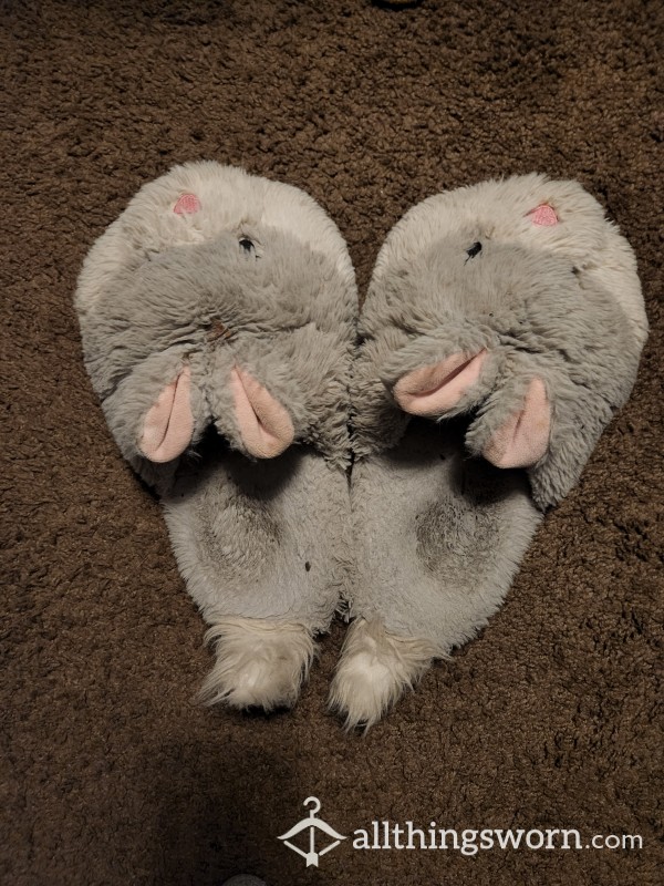 Bunny Slippers Worn 6 Months