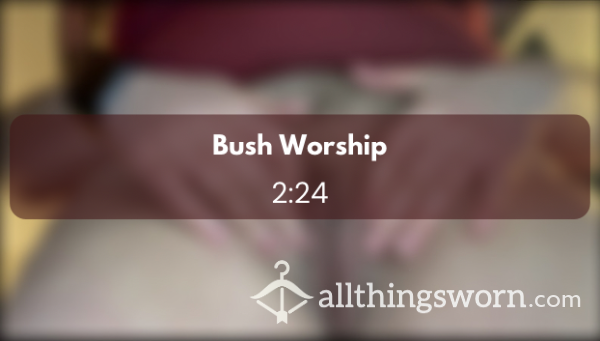 Bush Worship