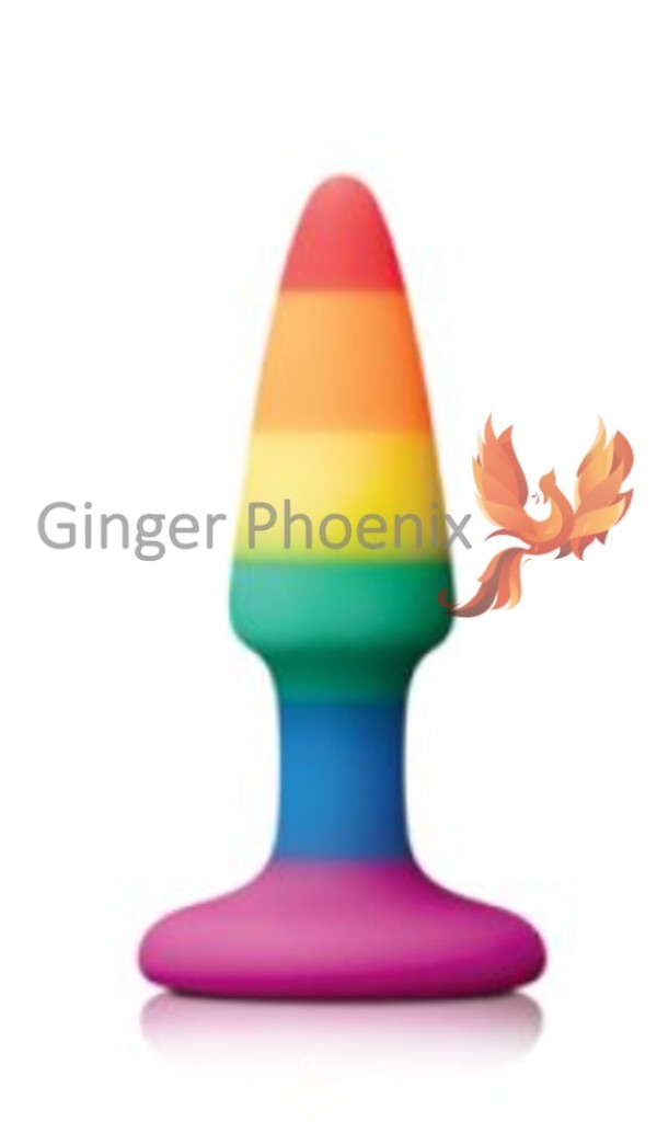 Butt Plug!  Xx  Rainbow Pride Anal-Safe Flared Butt Plug!  Xx  Small Size, Accessible For All Booties!  ;) Xx   Lovingly Prepared In My Pussy, Just For You!  ;) Xx