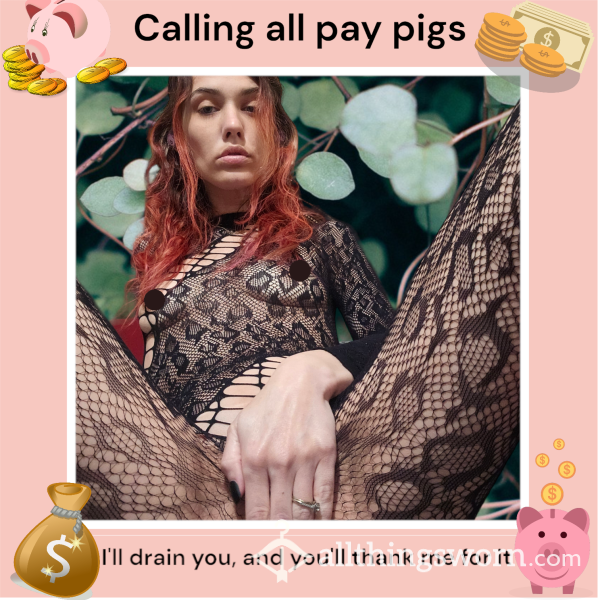 Calling All Pay Pigs 🐖