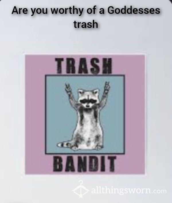 Calling All Trash Bandits