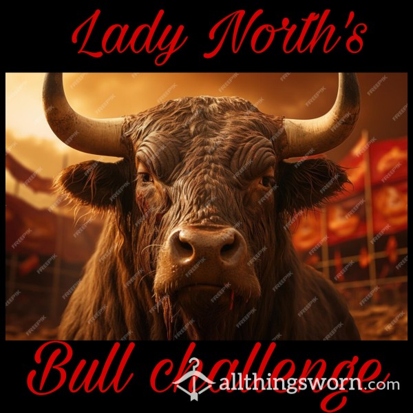 Challenge My Bull