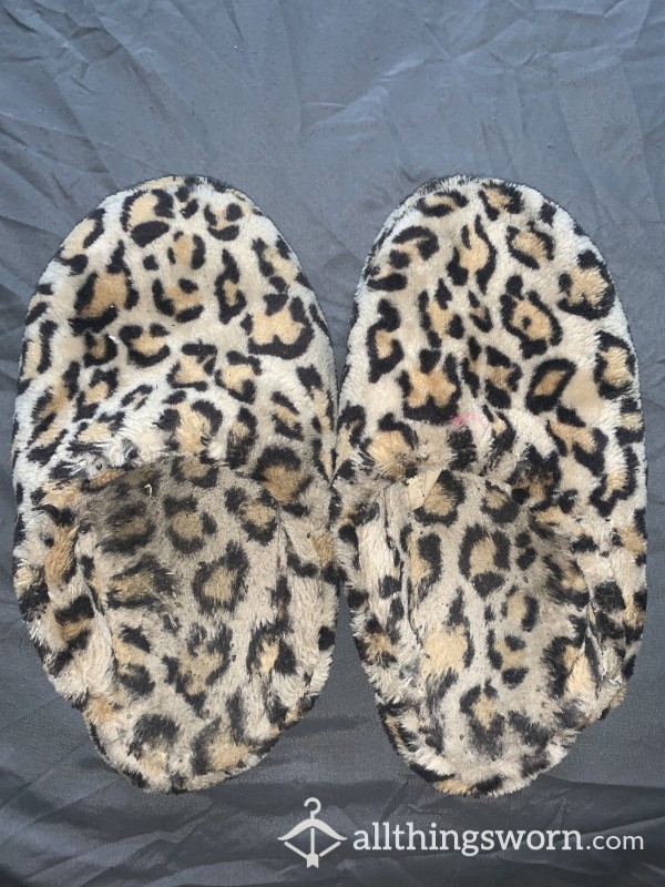 Cheetah Worn Down Slippers 🐆