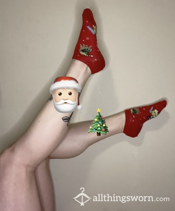 Christmas 🎄 🐶 Dog Socks