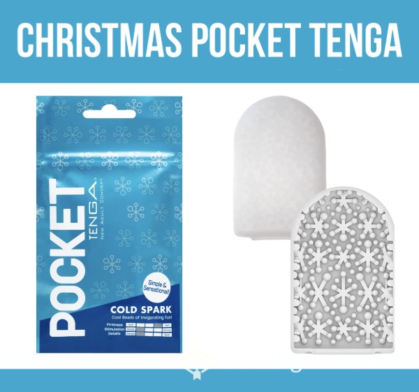 *reduced* Christmas Pocket Tenga❄️