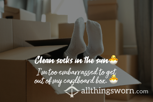 Clean Socks In The Sun🐣(re-named Products)