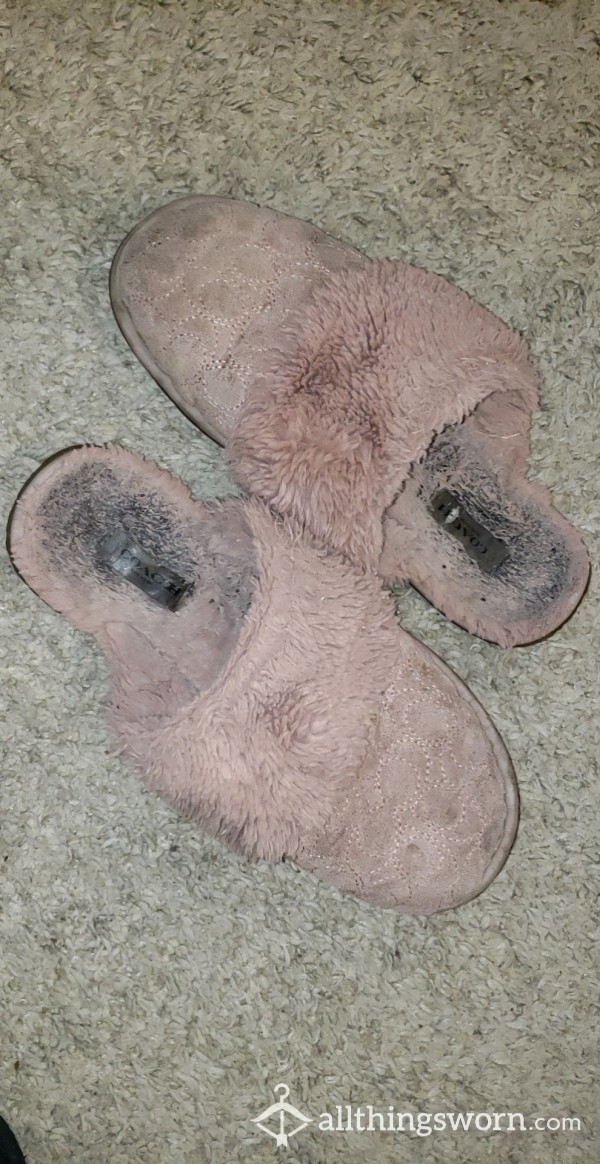 Coach Slippers