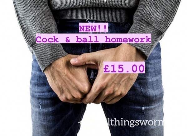 Cock & Ball Only Homework 😈❗️